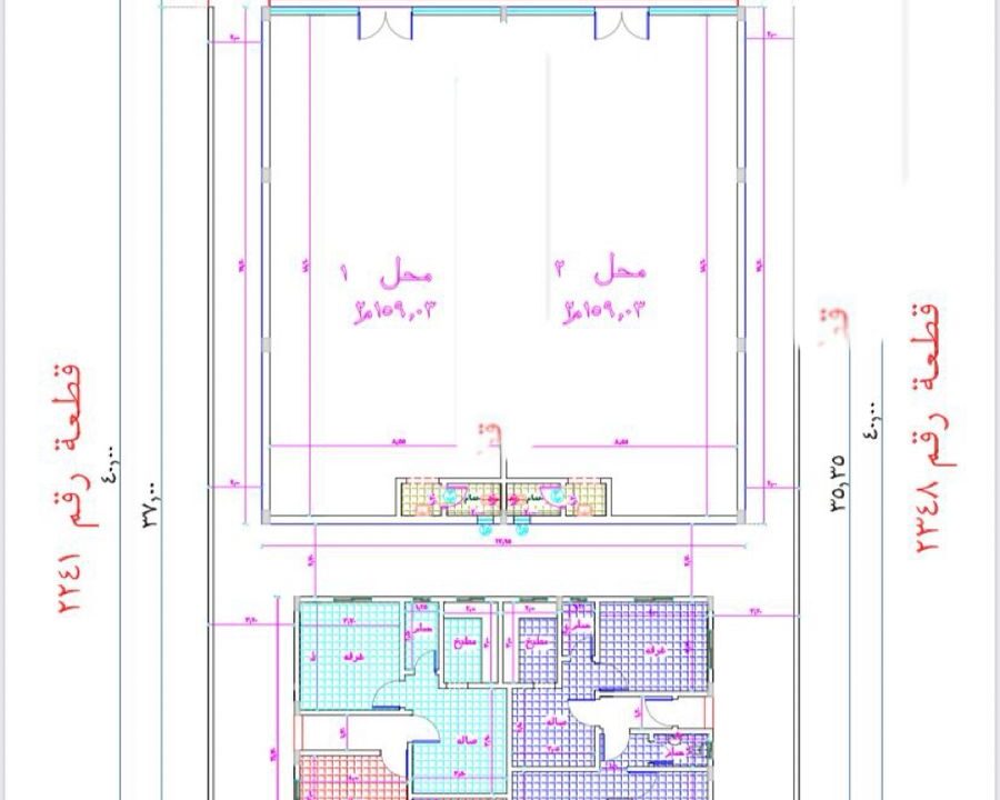 WhatsApp Image 2026-02-24 at 10.22.51 PM