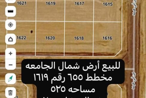 1619 شمال الجامعه