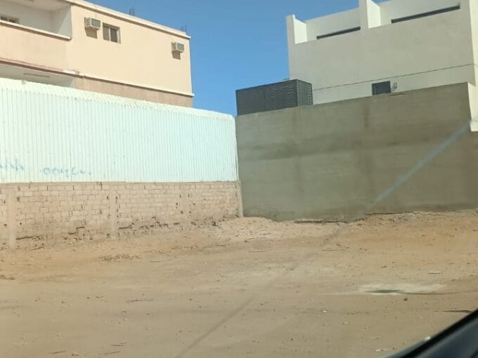 WhatsApp Image 2026 02 03 at 10.08.35 AM