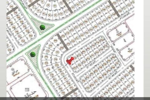 WhatsApp Image 2026 03 03 at 9.23.11 PM