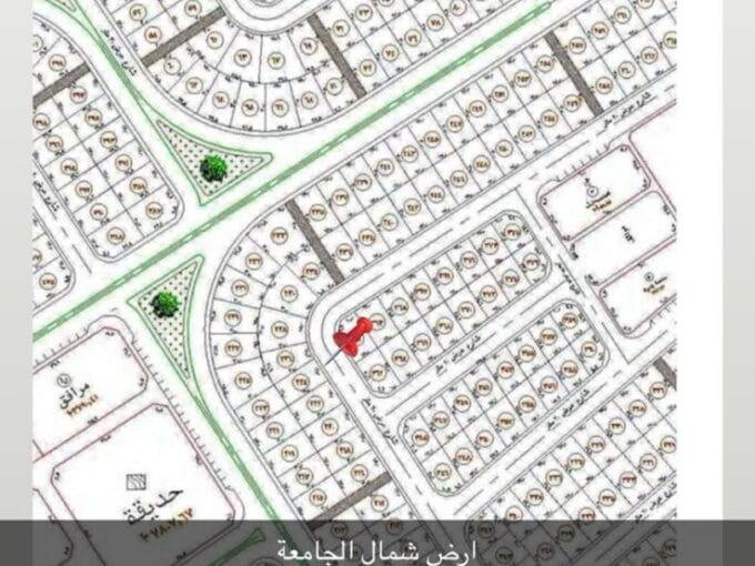 WhatsApp Image 2026 03 03 at 9.23.11 PM