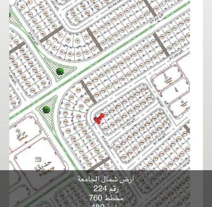 WhatsApp Image 2026-03-03 at 9.23.11 PM