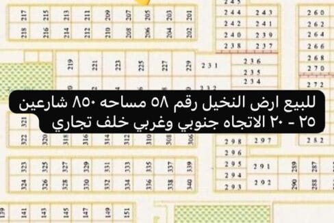 النخيل رقم 58