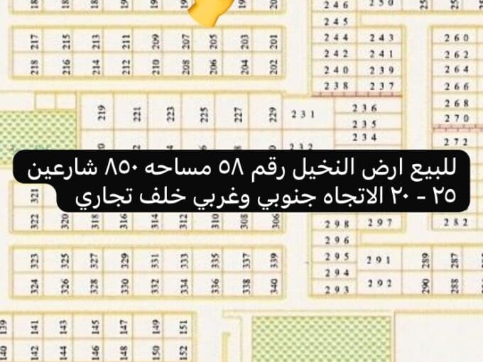 النخيل رقم 58