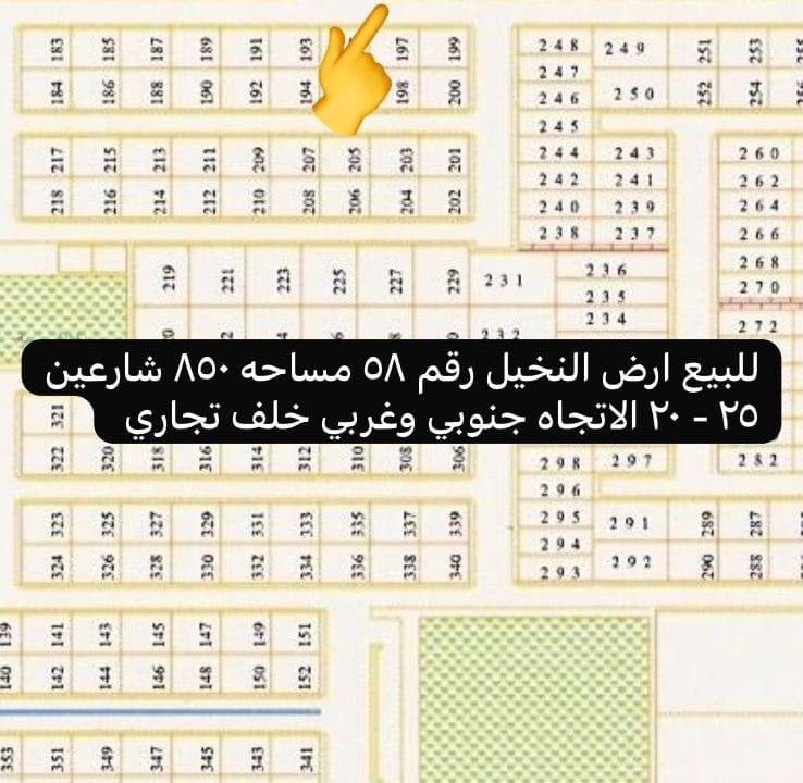 النخيل رقم 58