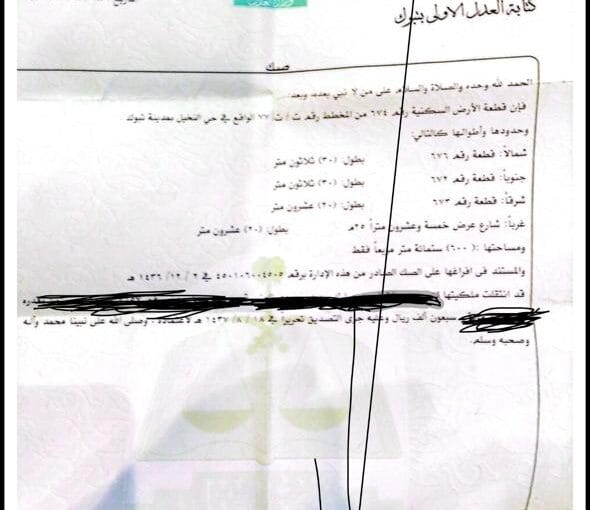 النخيل 674