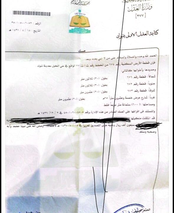 النخيل 674
