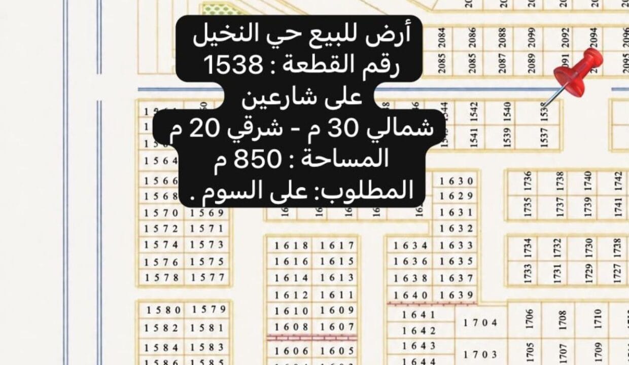 النخيل 1538
