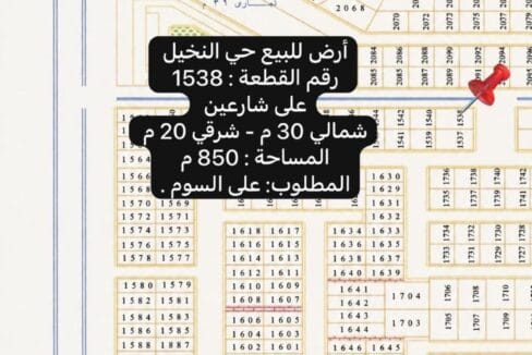 النخيل 1538