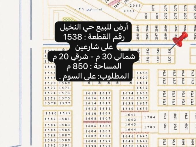 النخيل 1538
